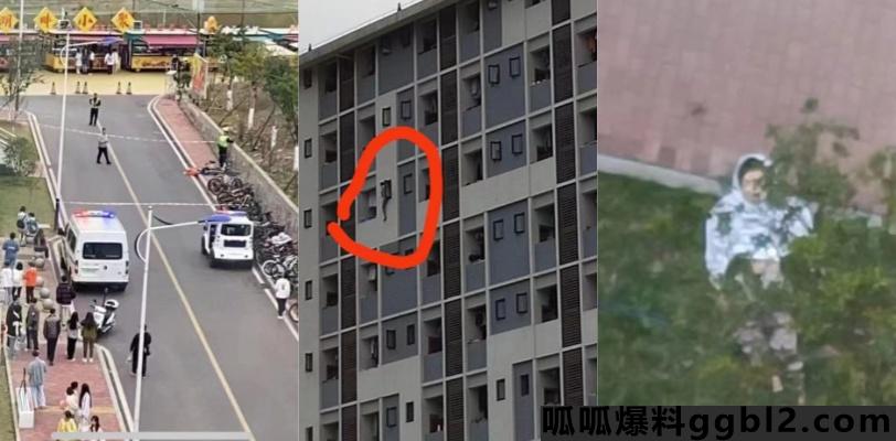 重庆城市科技学院性侵坠楼案 一女子遭三同学轮奸后跳楼 thumbnail