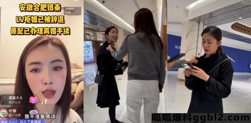 合肥银泰LV柜姐后续 原配开直播讲诉如何发现聊天记录 疑似炒作变流量带货 离婚手续已在办理 thumbnail