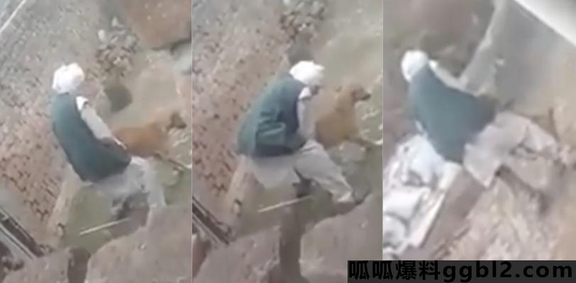 日了狗了在现实中上演!狠人无套爆操母狗 印度阿三还是狠居然连母狗都干 thumbnail