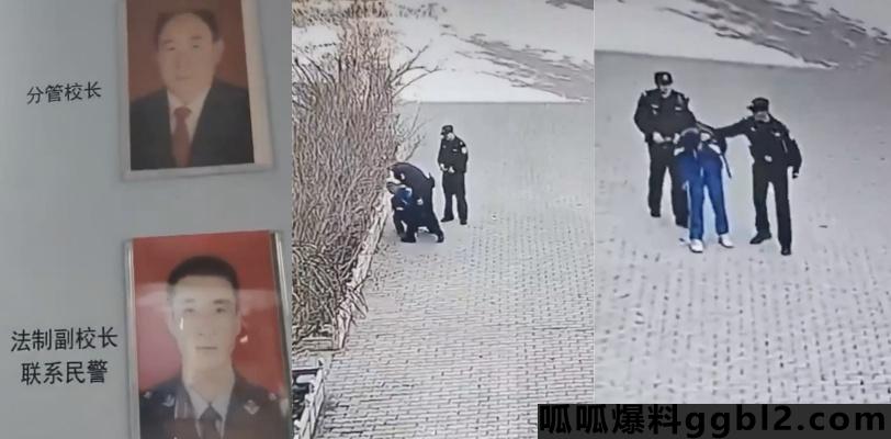 全网热搜 宁夏固原市 张易镇派出所 两名警员毫无原因殴打12岁小学生! thumbnail